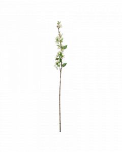 Bloem begonia wit 105cm