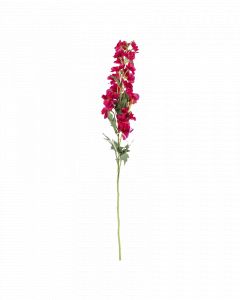 Bloem delphinium roze 82cm