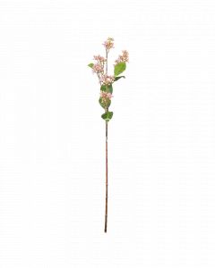 Bloem herba eupatorium roze 62cm