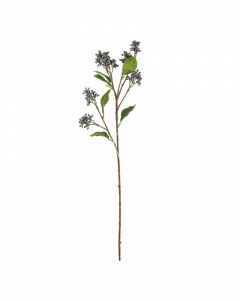 Bloem herba eupatorium blauw 62cm