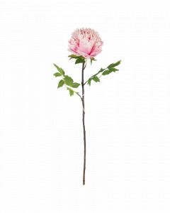 Bloem pioenroos roze 70cm