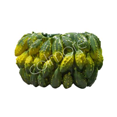 Vaas cucumis geel/groen keramiek 34x33x23