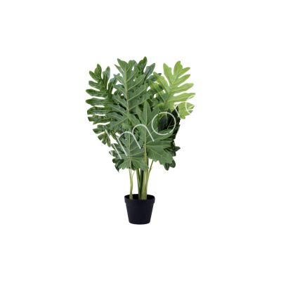332-19-006 Plant philodendron PU 110cm