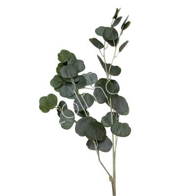 Bloem eucalyptus groen 105cm