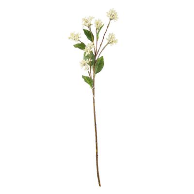 Bloem herba eupatorium wit 62cm