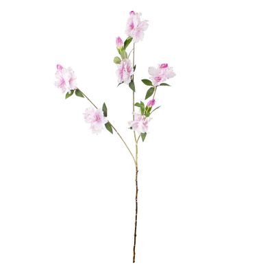Bloem rododendron roze 103cm