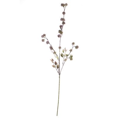 Bloem sambucus paars 93cm