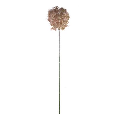 Bloem allium roze 75cm