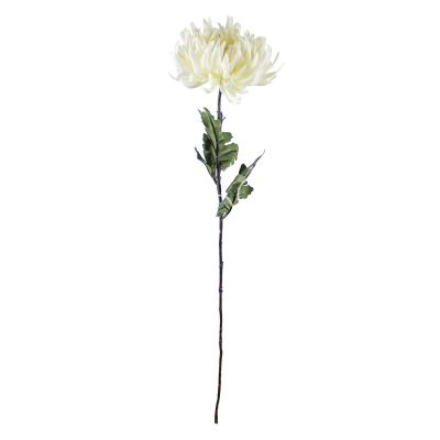 Bloem crysant wit 60cm