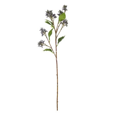 Bloem herba eupatorium blauw 62cm