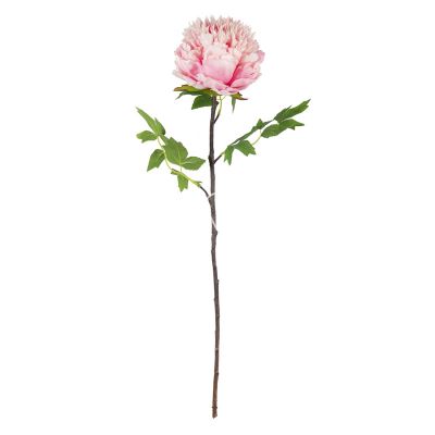 Bloem pioenroos roze 70cm